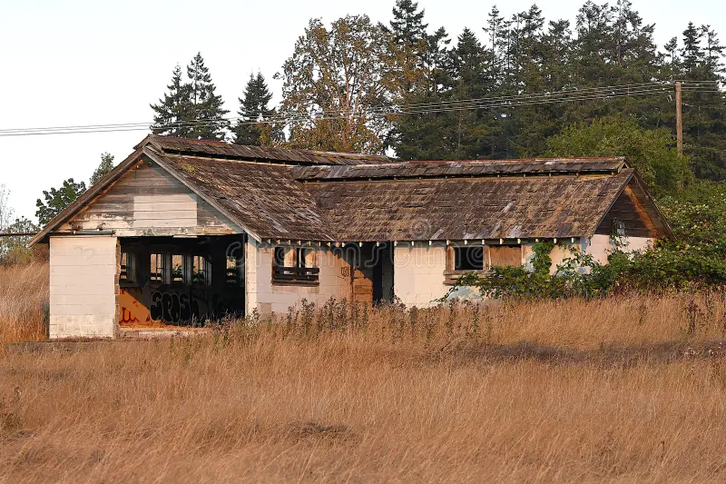 Florida house needing major repairs or with code issues